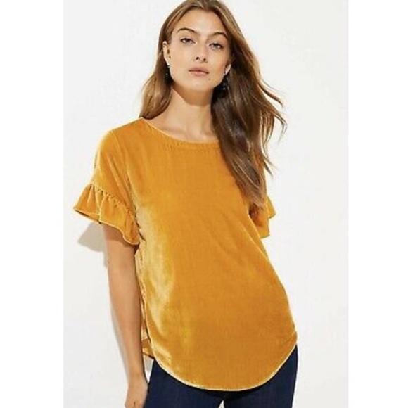 LOFT Crushed Velvet Ruffle Sleeve Top - Picture 1 of 6